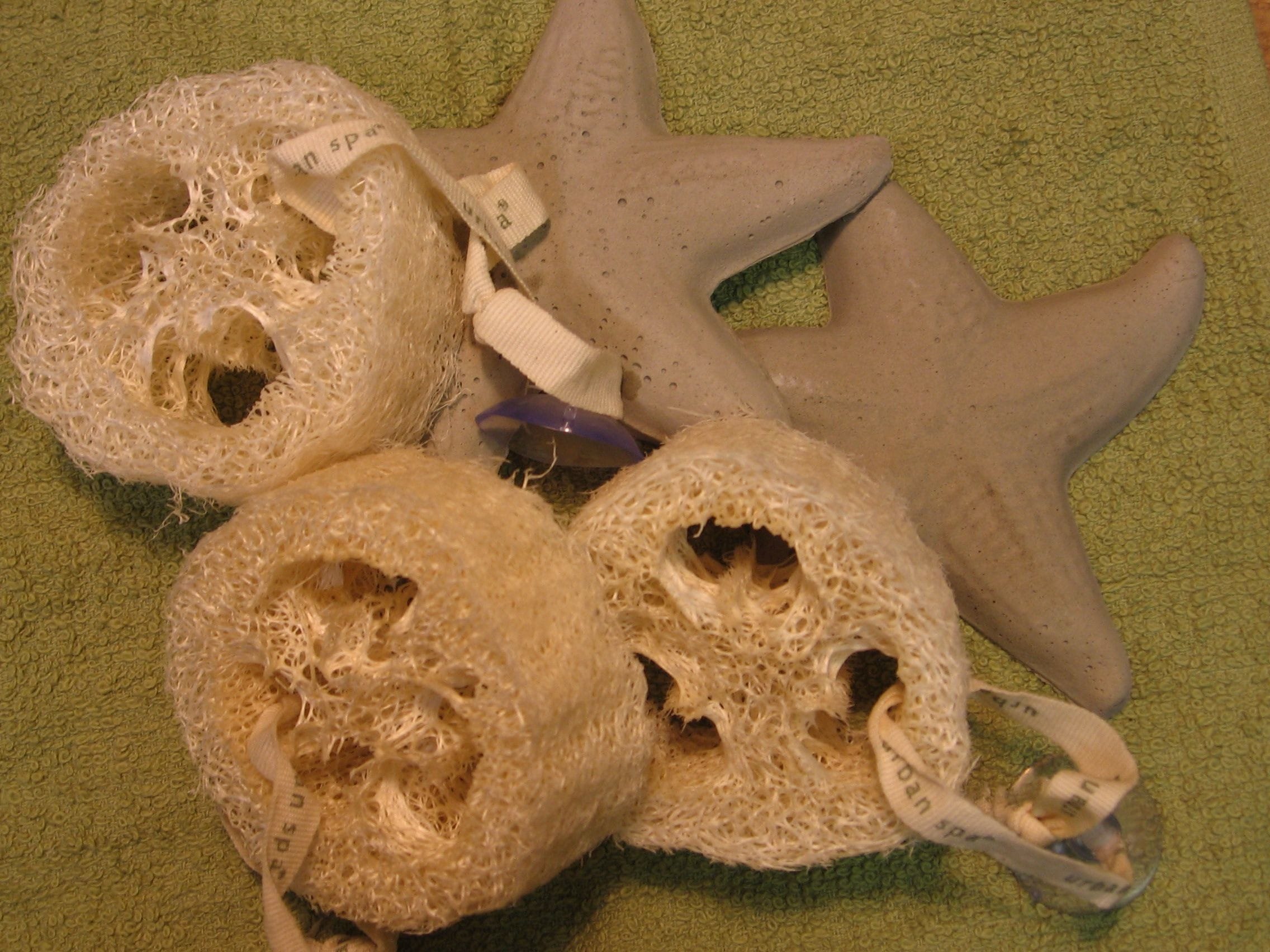 All natural loofah sponge slice to gently exfoliate your feet.  A slice of vegetable source all natural loofah sponge.